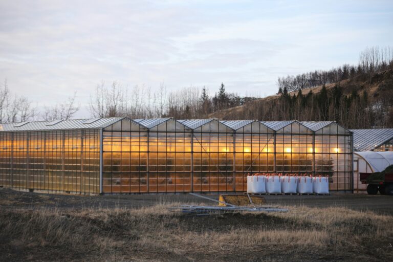 metal greenhouses PEMBSTL